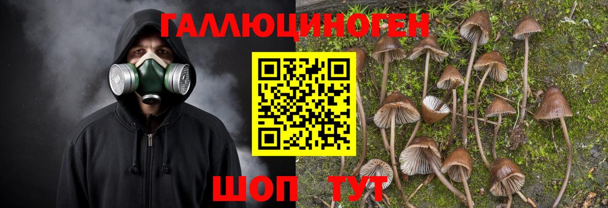 Галлюциногенные грибы мицелий Реутов