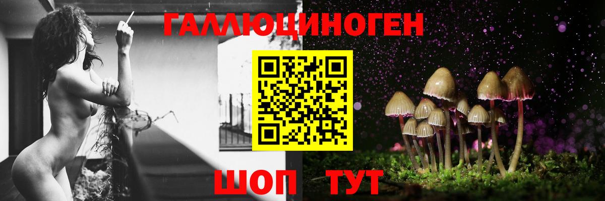 Реутов  Псилоцибиновые грибы Magic Shrooms  Вход с VPN 